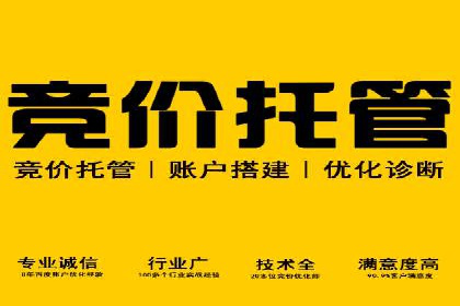 成功案例：网络推广与竞价广告的完美结合